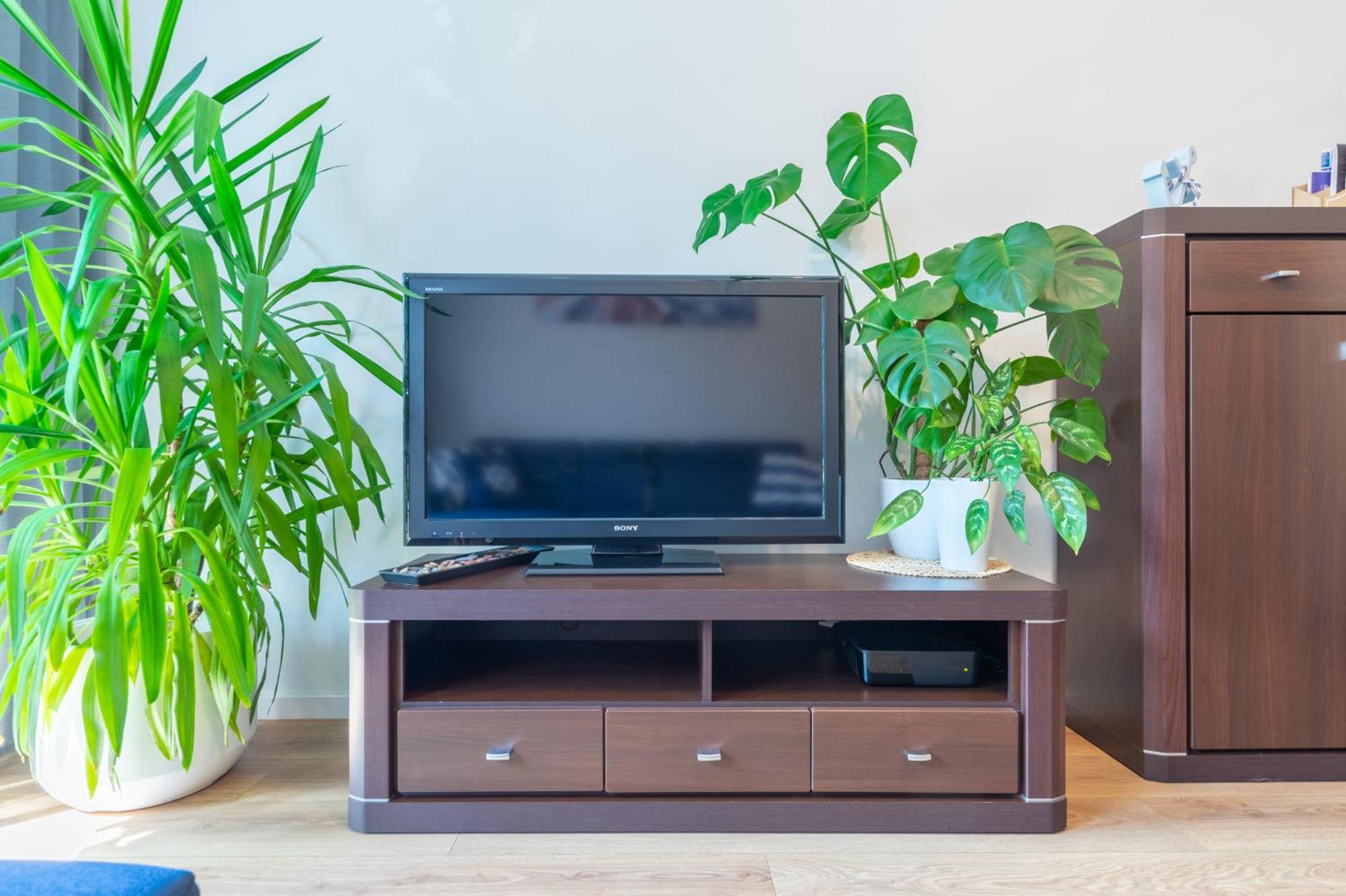 Apartament Anchor Przymorze 格但斯克 外观 照片